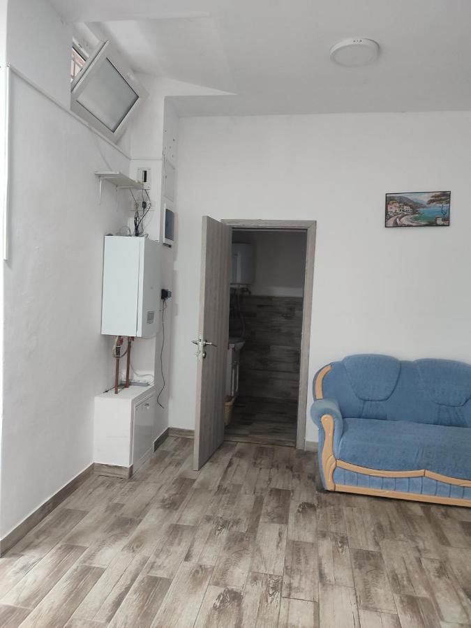Apartament Karina Baia Mare Exterior photo